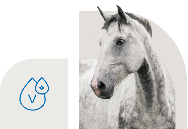 bild hoeveler sortiment supplemente vitamine minerale